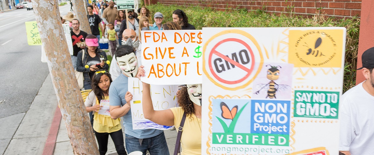 The Monsanto Takeover