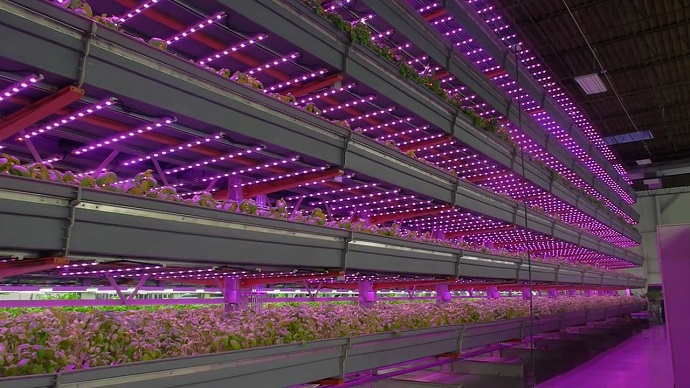 A New Area for Many Investors Vertical Farming 02