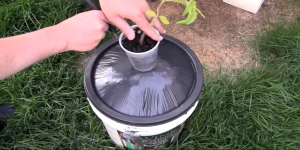 DIY Self-Watering Container