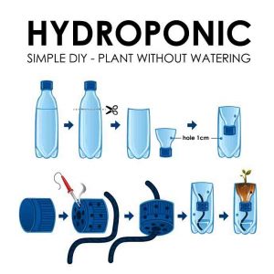 A vector illustration of diagram of a hydroponics setup