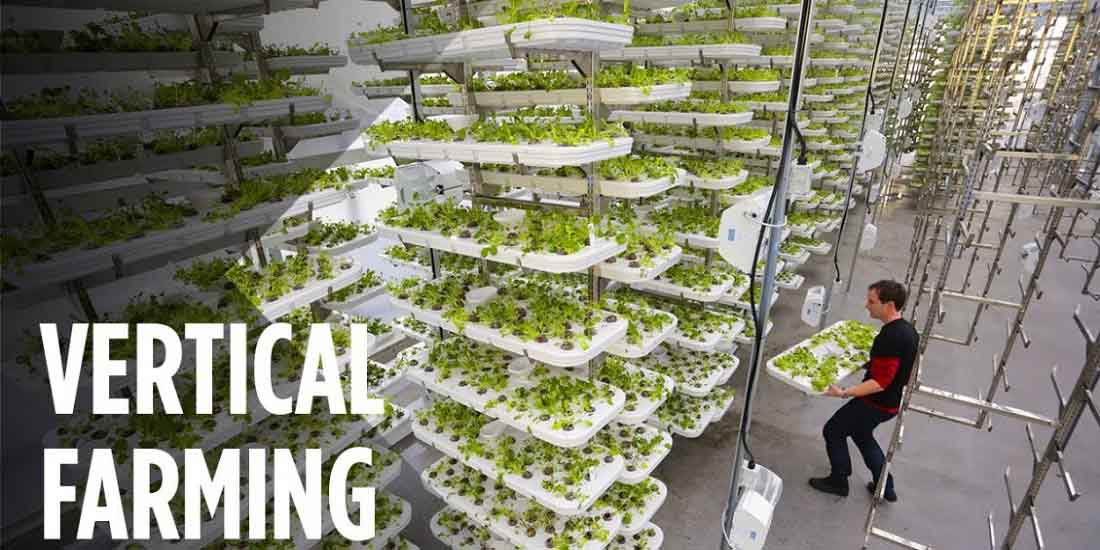 This Farm Of The Future Uses No Soil And 95% Less Water